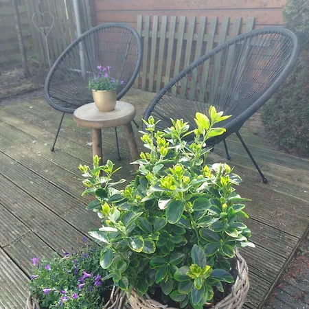 't Venhop مكان تخييم Berkhout