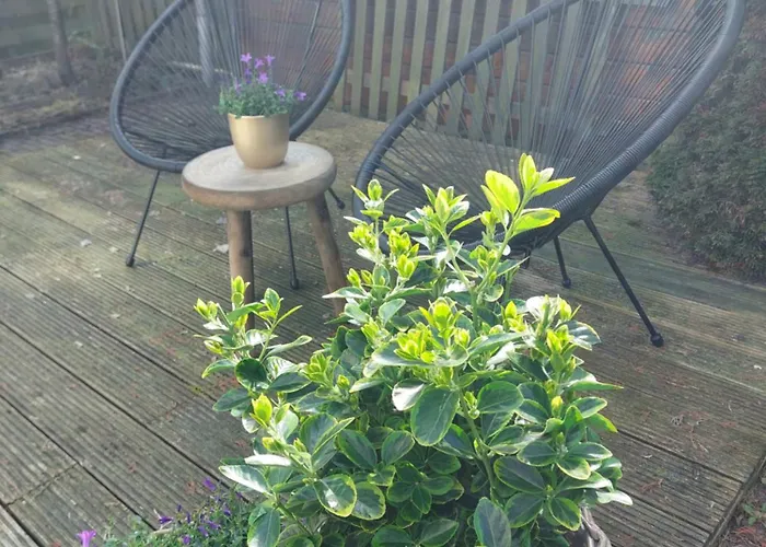 't Venhop Parque de Campismo Berkhout